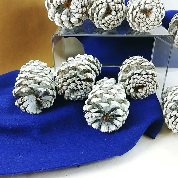 Pinecones Home Decor Crafting Pkg of 12 Handcrafted by Collins Creek Collections - Picture 7 of 8